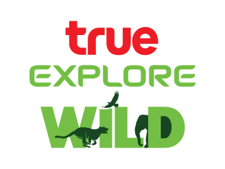 True Explore Wild