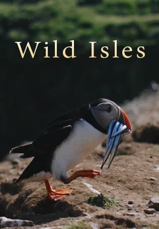 Wild Isles