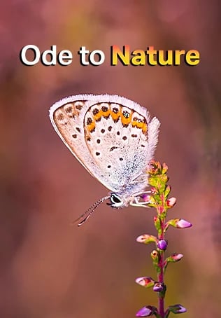 Ode to Nature