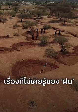 เรื่องที่ไม่เคยรู้ของ ‘ฝน’