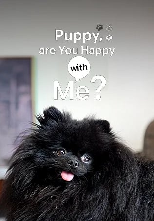 Puppy, are You Happy with Me?