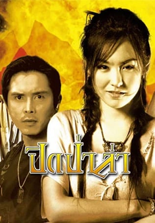 ปิดป่าล่า