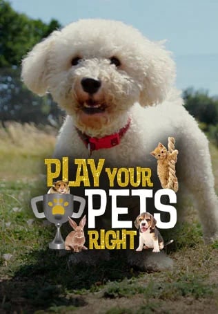 Play Your Pets Right S1