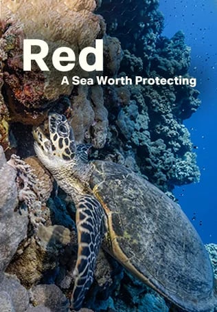 Red: A Sea Worth Protecting