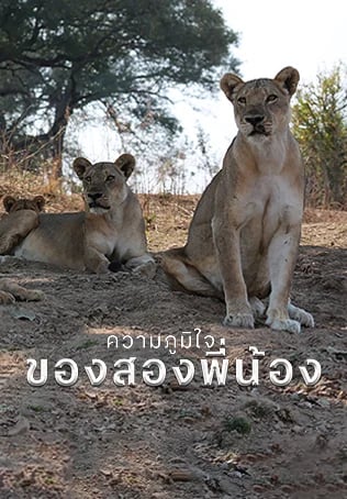 ความภูมิใจของสองพี่น้อง
