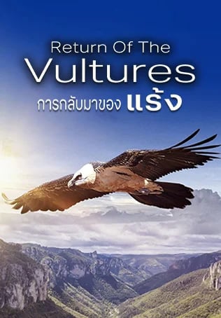 การกลับมาของแร้ง