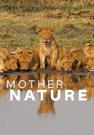 Mother Nature