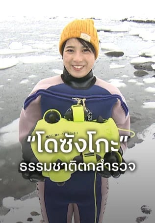 “โดซังโกะ” ธรรมชาติตกสำรวจ ปี2