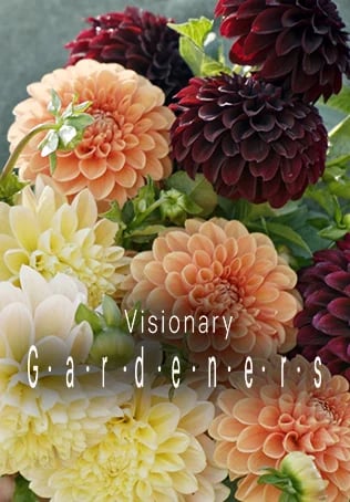 Visionary Gardeners