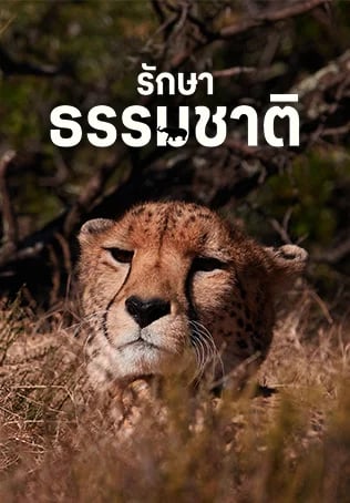 รักษาธรรมชาติ ปี 1&2