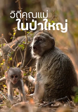 วิถีคุณแม่ในป่าใหญ่