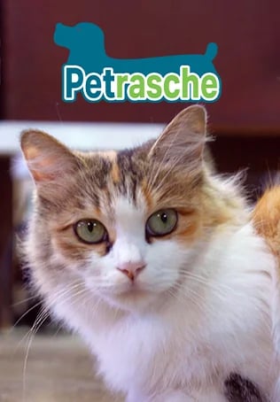 Petrasche