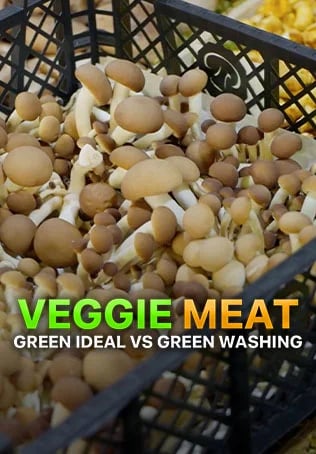 Veggie meat: Green Ideal VS Green Washing
