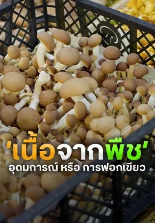 ‘เนื้อจากพืช’ อุดมการณ์ หรือ การฟอกเขียว