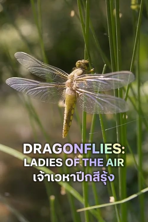 เจ้าเวหาปีกสีรุ้ง
