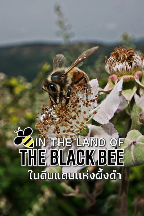 ในดินแดนแห่งผึ้งดำ
