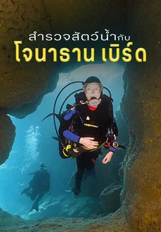 สำรวจสัตว์น้ำกับโจนาธาน เบิร์ด ปี 8