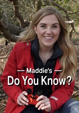 Maddie's do You Know S4