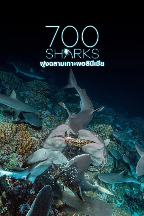 700 Sharks