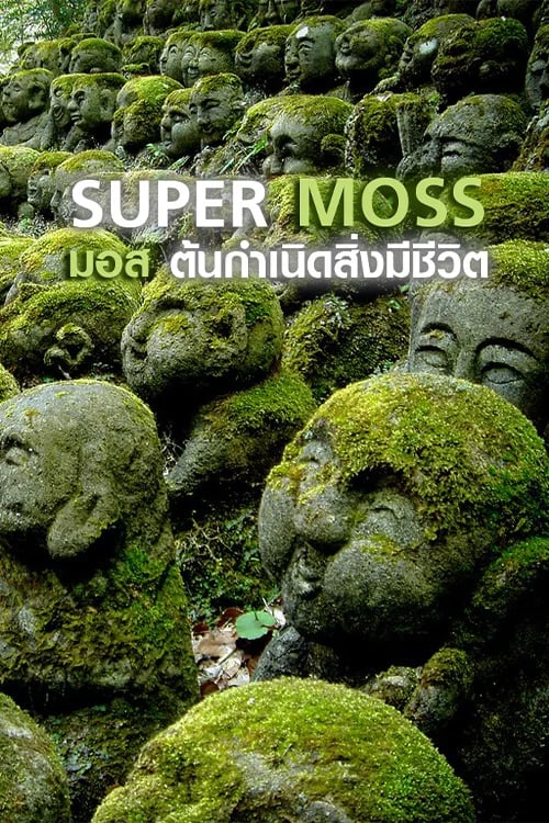 Super Moss