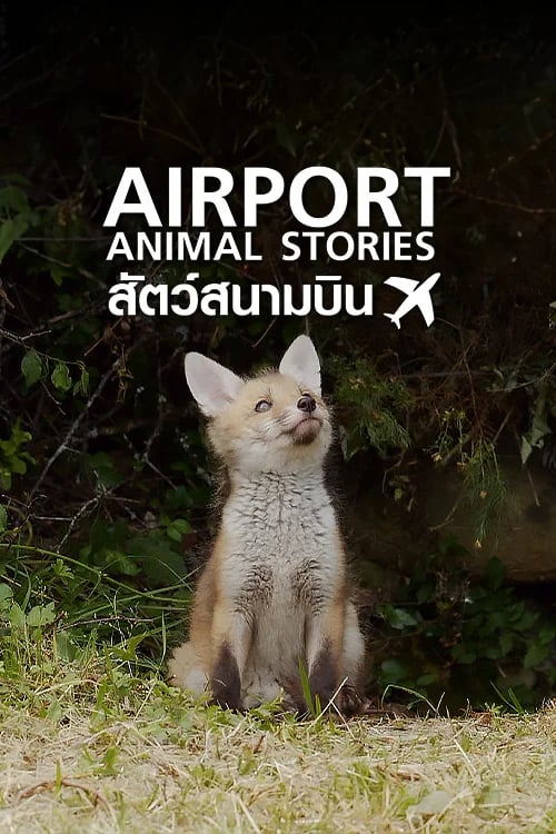 สัตว์สนามบิน