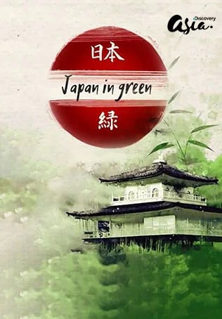 Japan In Colors