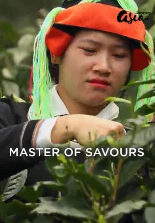 Master Of Savours