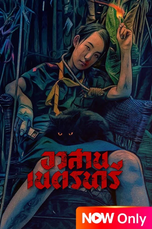 อวสานเนตรนารี