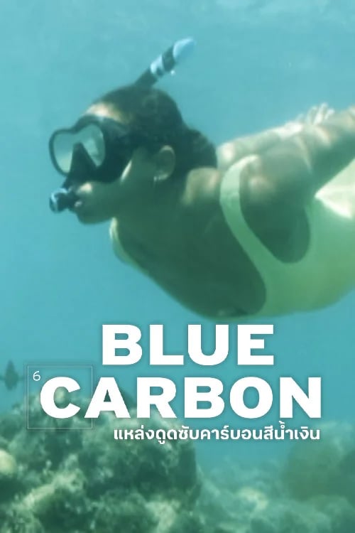 แหล่งดูดซับคาร์บอนสีน้ำเงิน