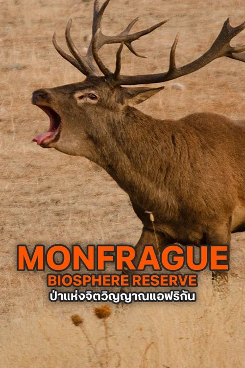 ป่าแห่งจิตวิญญาณแอฟริกัน