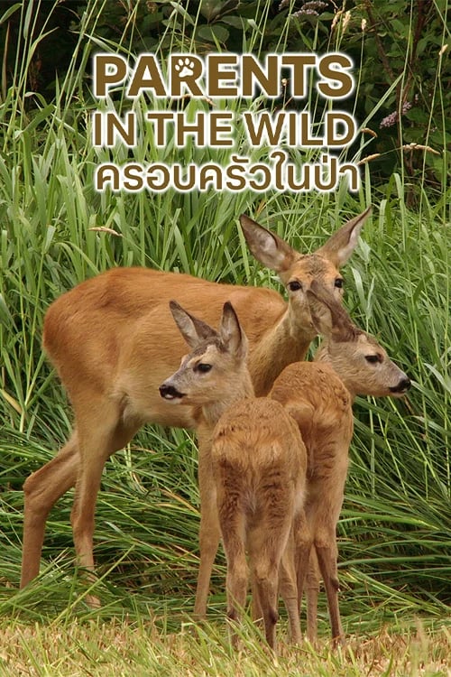 Parents in the Wild