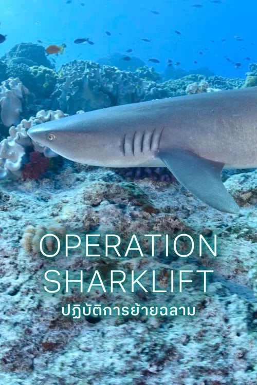 ปฏิบัติการย้ายฉลาม