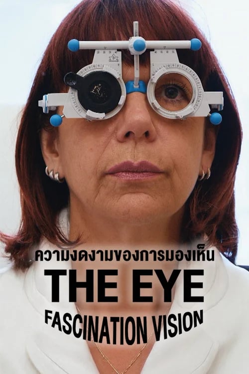 ความงดงามของการมองเห็น