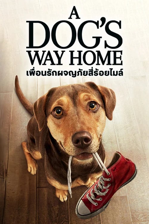 เพื่อนรักผจญภัยสี่ร้อยไมล์