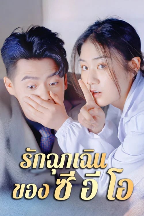 รักฉุกเฉินของ ซี อี โอ
