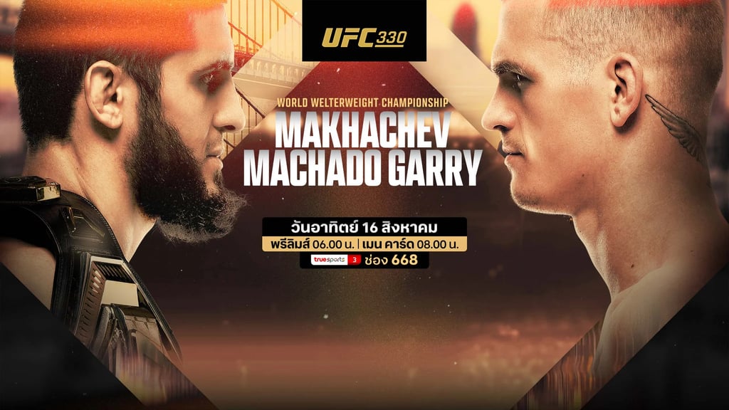 UFC 330