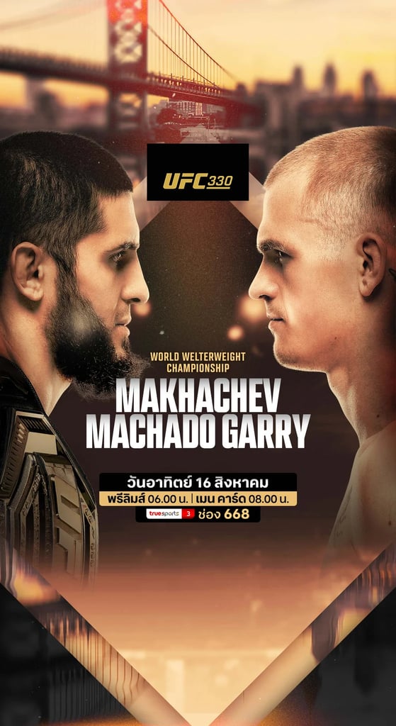UFC 330