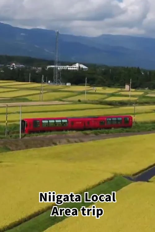 Niigata Local Area trip　Sakura＆Snow　Hotspring　ResortTrain