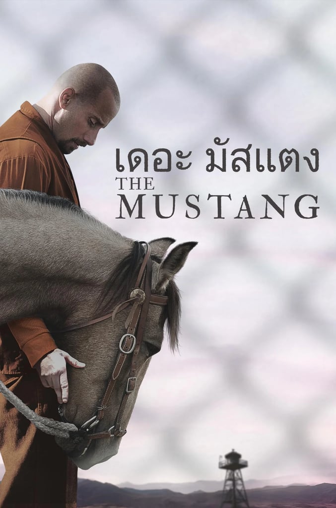 เดอะ มัสแตง