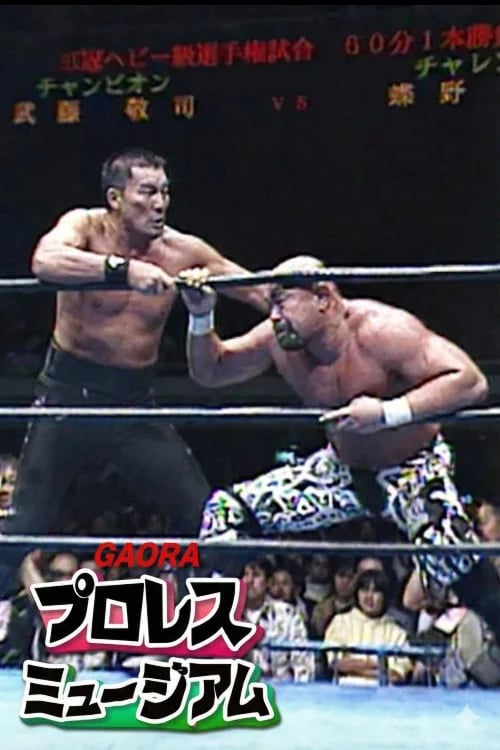 Gaora Pro Wrestling Museum