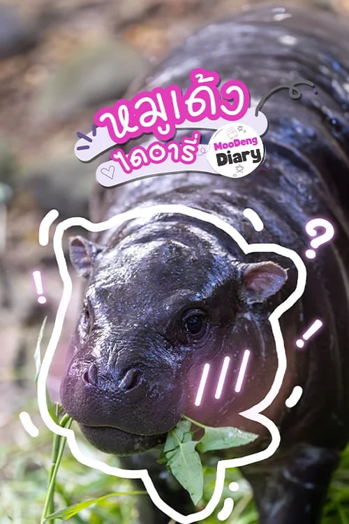 หมูเด้งไดอารี่
