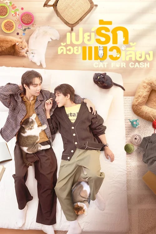 เปย์รักด้วยแมวเลี้ยง