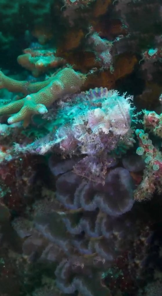 The Philippines - Secrets Of A Tropical Archipelago