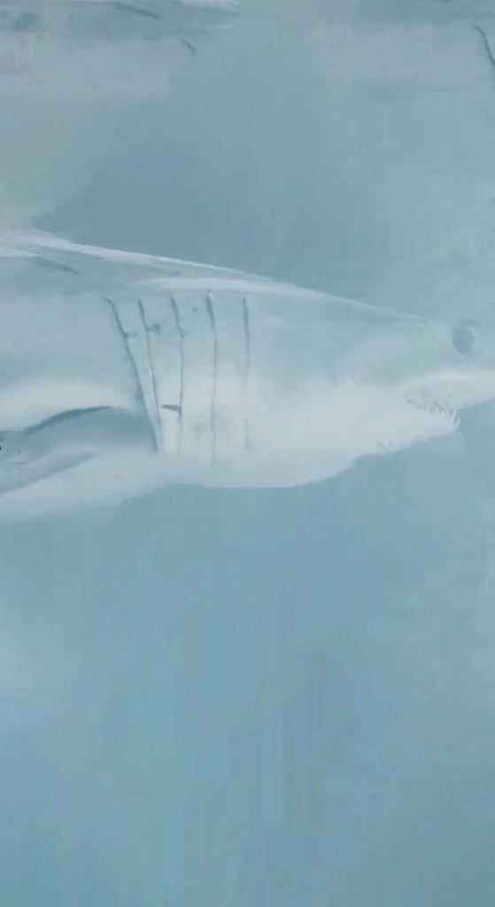 My Strange Shark Addiction