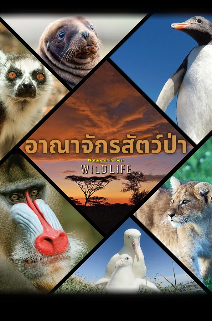 WILDLIFE