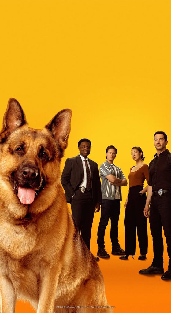 Hudson & Rex (Season 8)