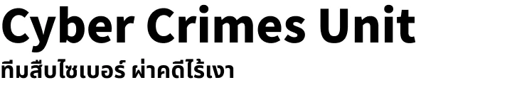 Cyber Crimes Unit